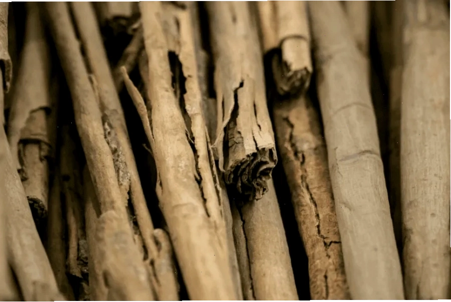 A depiction of cinnamon sticks and bark, showcasing the spice