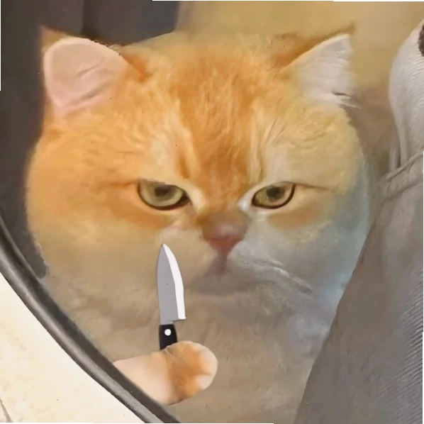 Ảnh cầm dao meme thể hiện sự sáng tạo