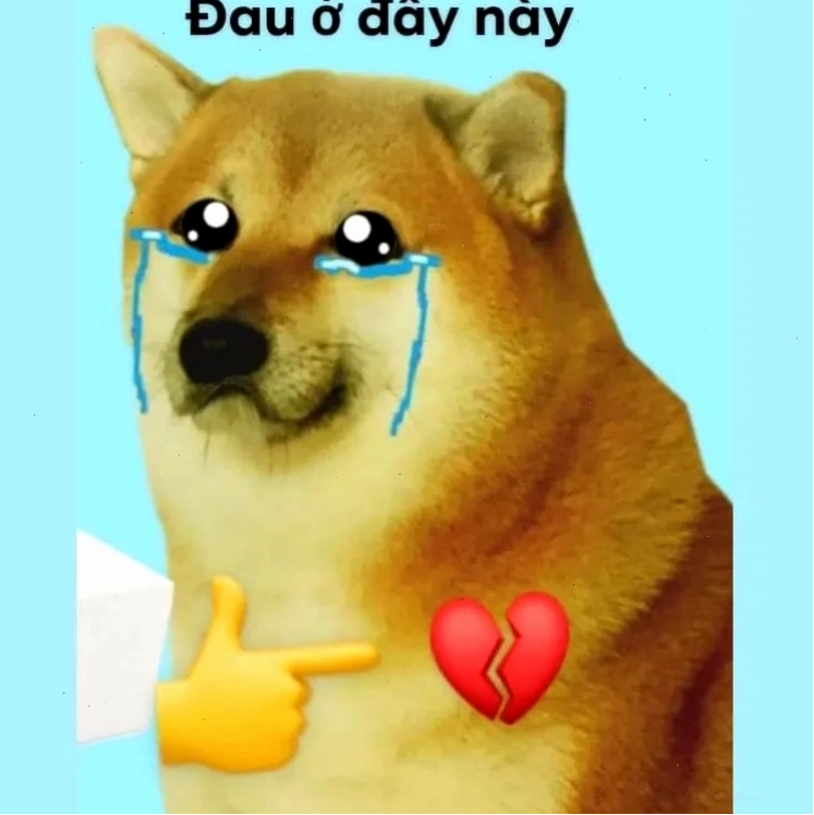 Ảnh chế hài hước với câu nói 'Đau ở đây này'