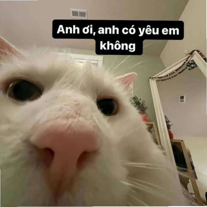 Ảnh đôi meme tình yêu vui nhộn với biểu cảm hài hước