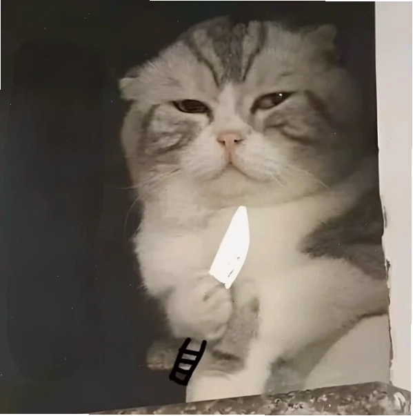 Ảnh meme cầm dao ngầu mang đến sự thích thú