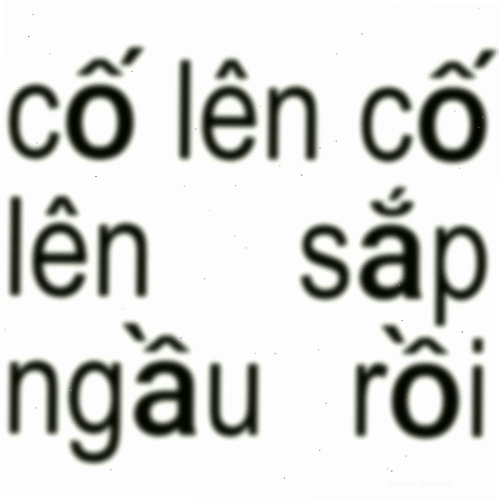 Ảnh meme chửi thể hiện sự bất lực cực độ