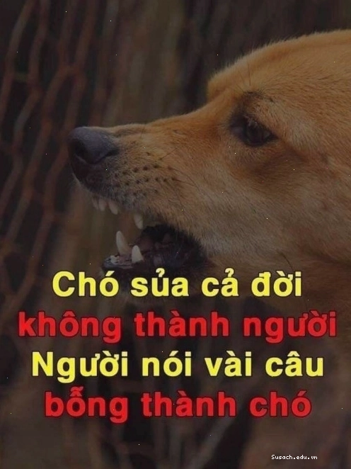 Ảnh meme chửi tục biểu cảm "khó đỡ"
