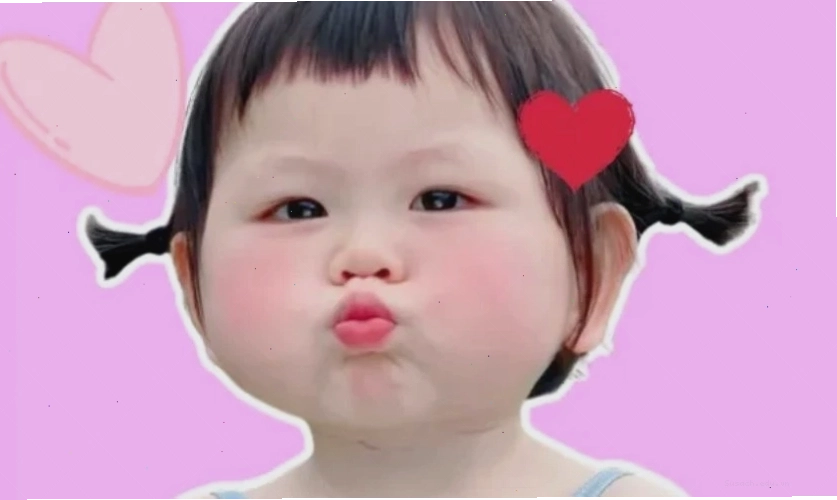 Ảnh meme cute, dễ thương nhất 2025 với chủ đề mèo