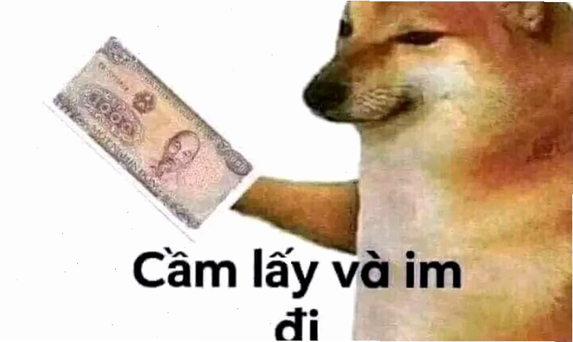 Ảnh meme hài hước 2025