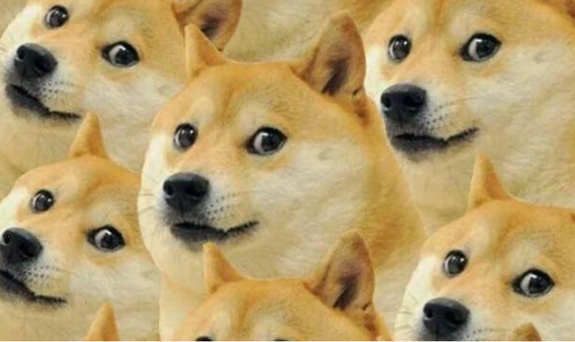 Ảnh meme hài hước cho điện thoại
