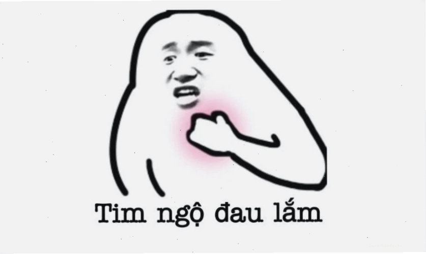 Ảnh meme mèo biểu cảm khó đỡ, hài hước làm avatar