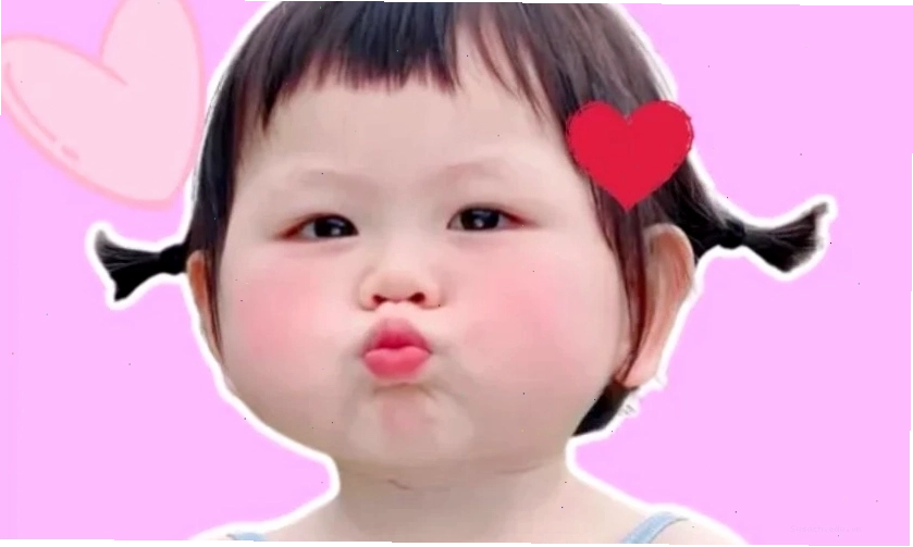 Ảnh meme mèo cute biểu cảm ngơ ngác