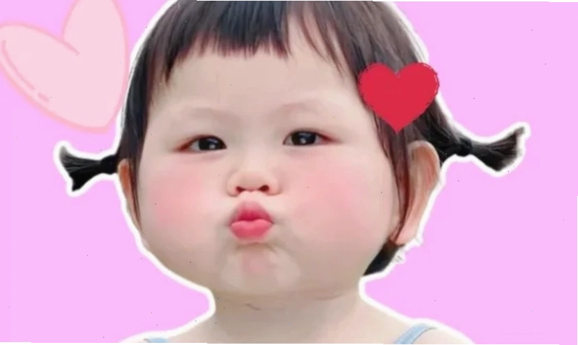 Ảnh meme mèo cute làm avatar