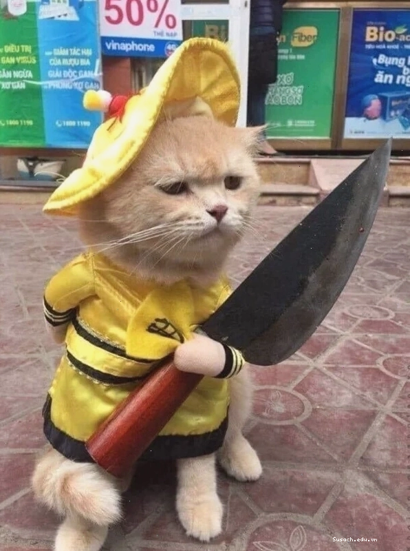 Ảnh mèo cầm dao meme cực kỳ tấu hài