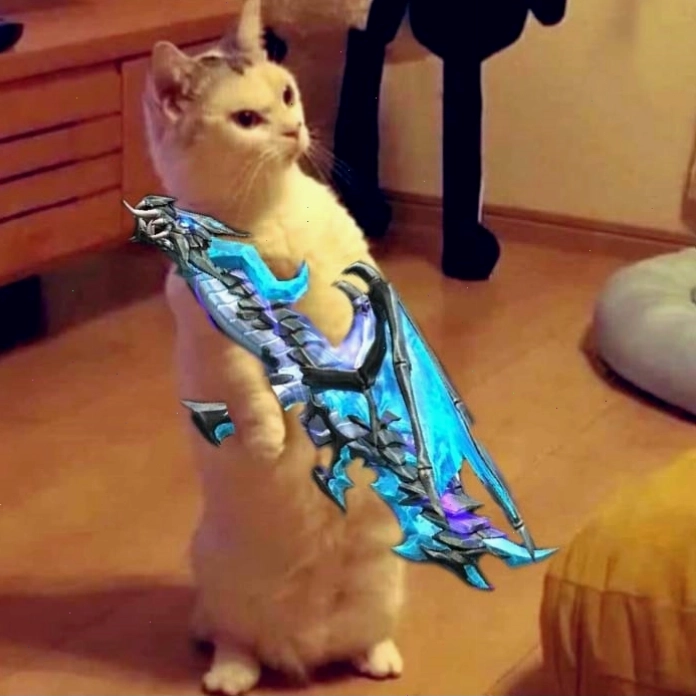 Ảnh mèo meme cầm vũ khí
