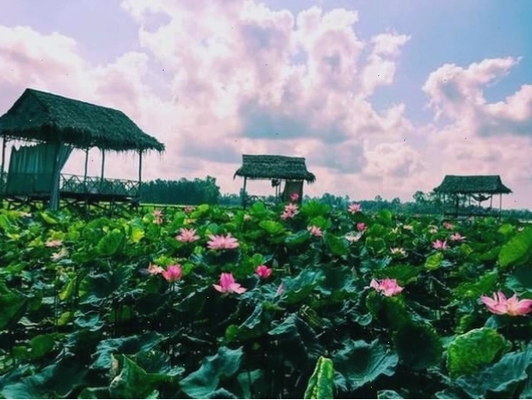 Ảnh minh họa con người Đồng Tháp
