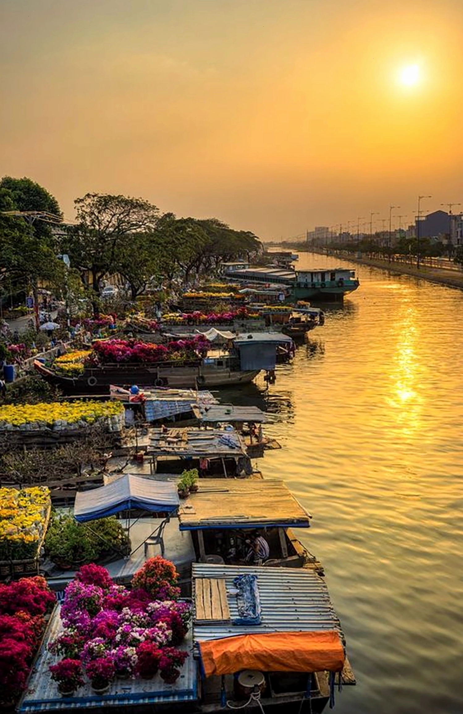 Avatar bầu trời với chú chim nhỏ đáng yêu