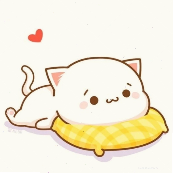 Avatar đôi mèo dễ thương với phụ kiện độc đáo