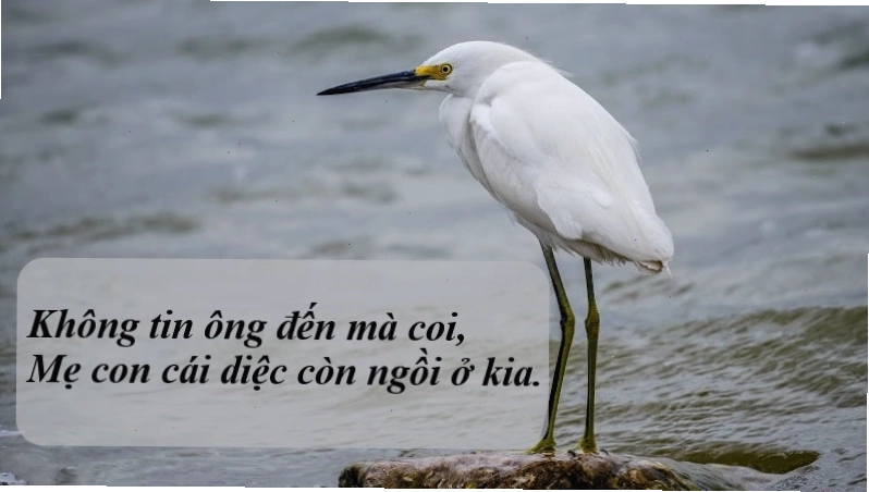 Bài ca dao về hoa sen và những bài học đạo lý ý nghĩa