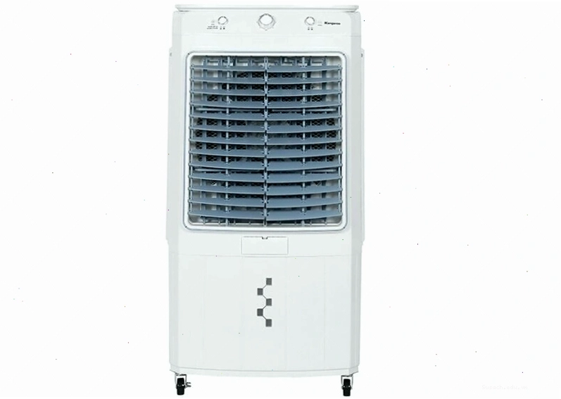 Bản đồ thế giới cho thấy sự di cư của con người từ châu Á sang châu Mỹ
