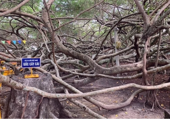 Biển chỉ dẫn tại Khu Di Tích Lịch Sử Giàn Gừa