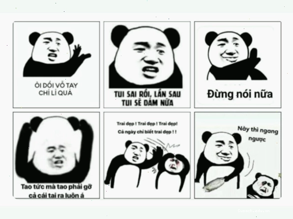 Biểu cảm đáng yêu của meme gấu trúc