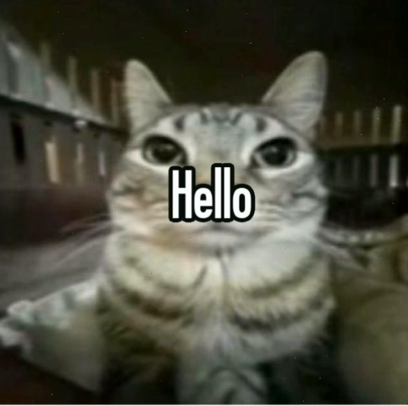 Biểu cảm ngạc nhiên hài hước trong meme chào