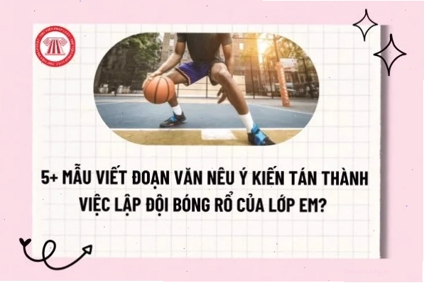 Bóng rổ