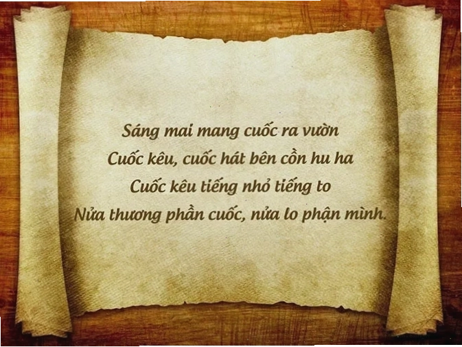 Ca dao thể hiện tình yêu thương sâu sắc