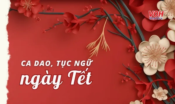 Ca dao tục ngữ về bánh chưng và ngày Tết