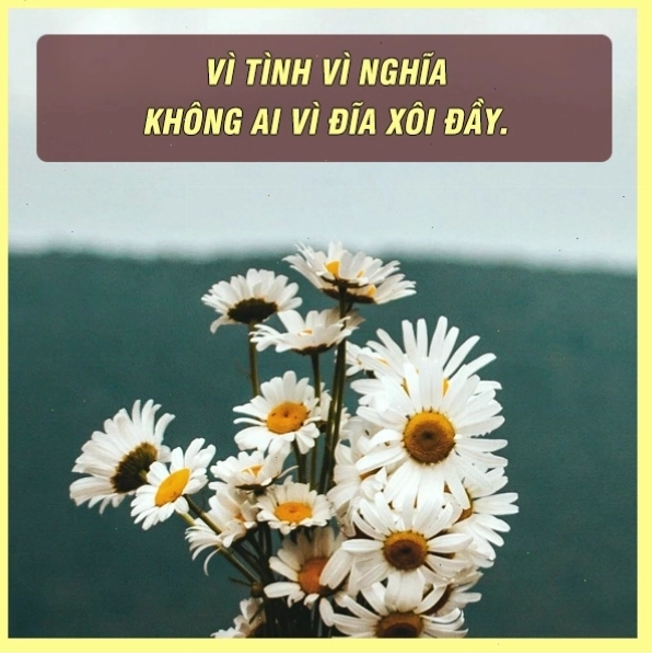 Ca dao tục ngữ về nhân nghĩa: Cho đi là nhận lại