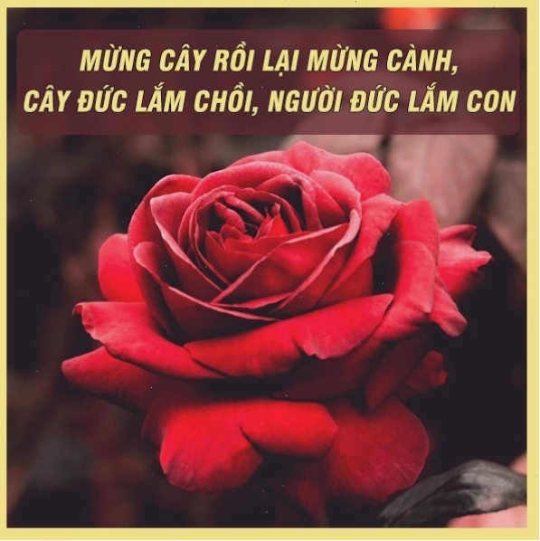 Ca dao tục ngữ về nhân nghĩa: Tương thân tương ái