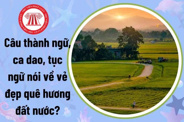 Ca dao tục ngữ về quê hương đất nước tinh hoa văn hóa Việt