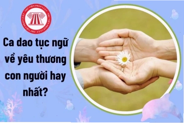 Ca dao tục ngữ về tình yêu thương con người