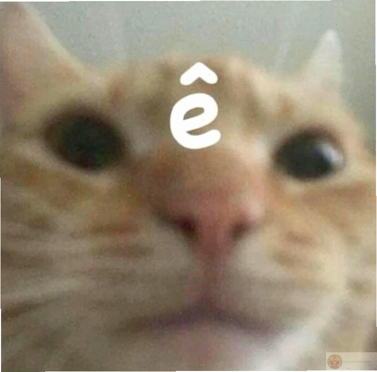 Các biến thể đa dạng của meme chữ Ê