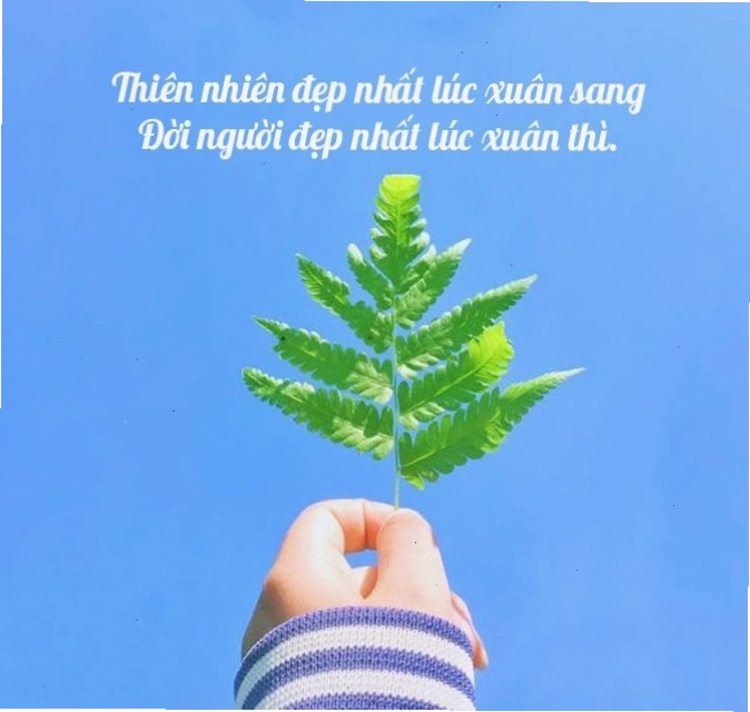 Cánh đồng lúa vàng bội thu tượng trưng cho thành quả lao động theo thời gian