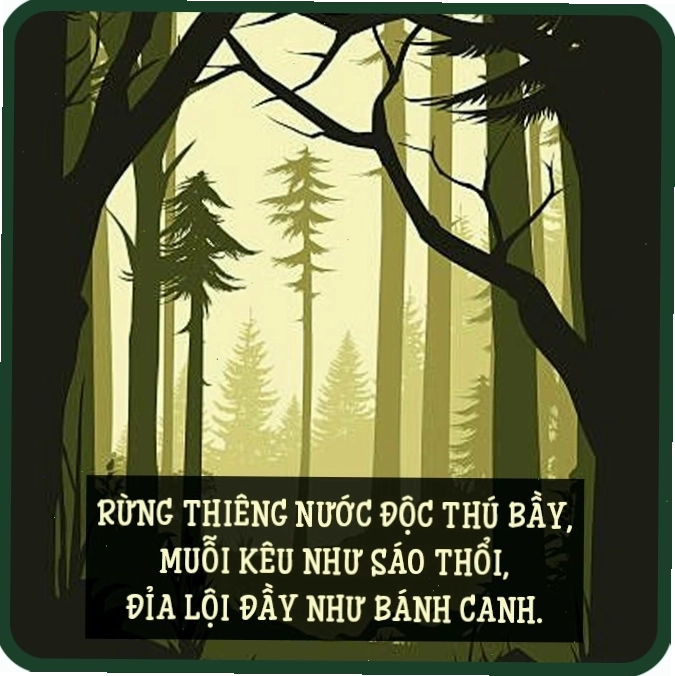 Cảnh đồng quê thanh bình, những cánh đồng lúa chín vàng