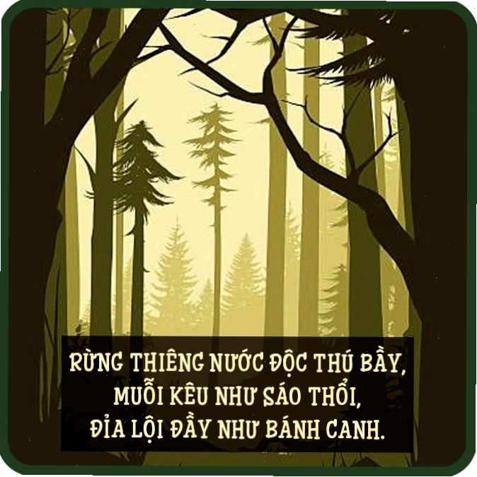 Cảnh đồng quê thanh bình Việt Nam trong ca dao về tình yêu quê hương