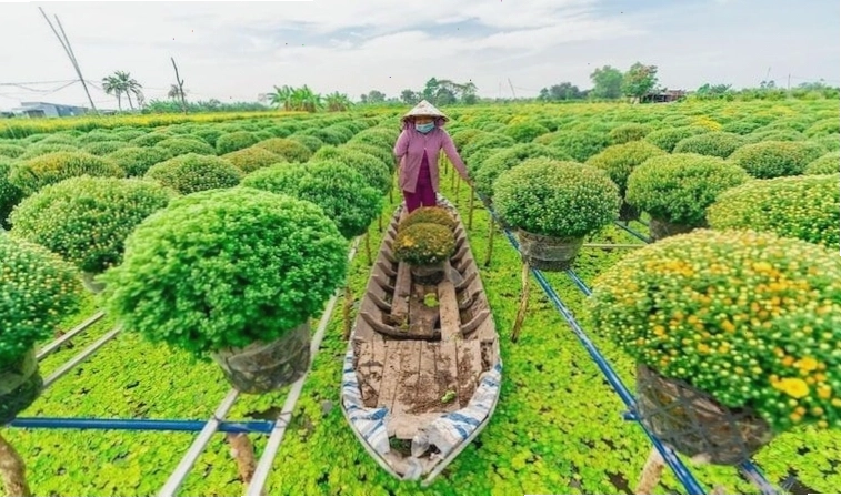 Cảnh sinh hoạt trên sông nước Đồng Tháp
