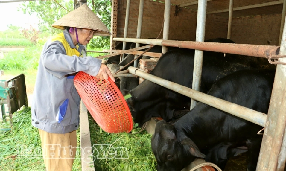 Cảnh vật xung quanh khu di tích