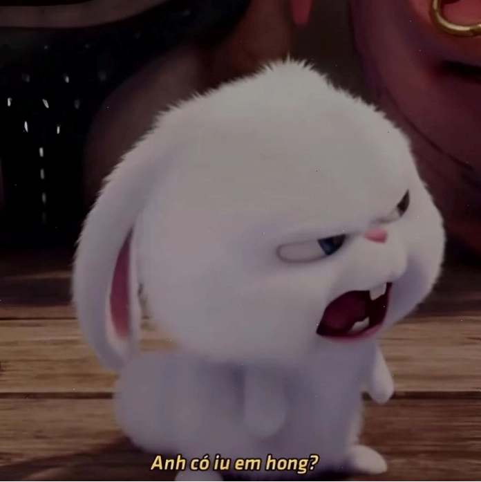 Cặp đôi sử dụng ảnh meme tình yêu ngọt ngào làm avatar đôi