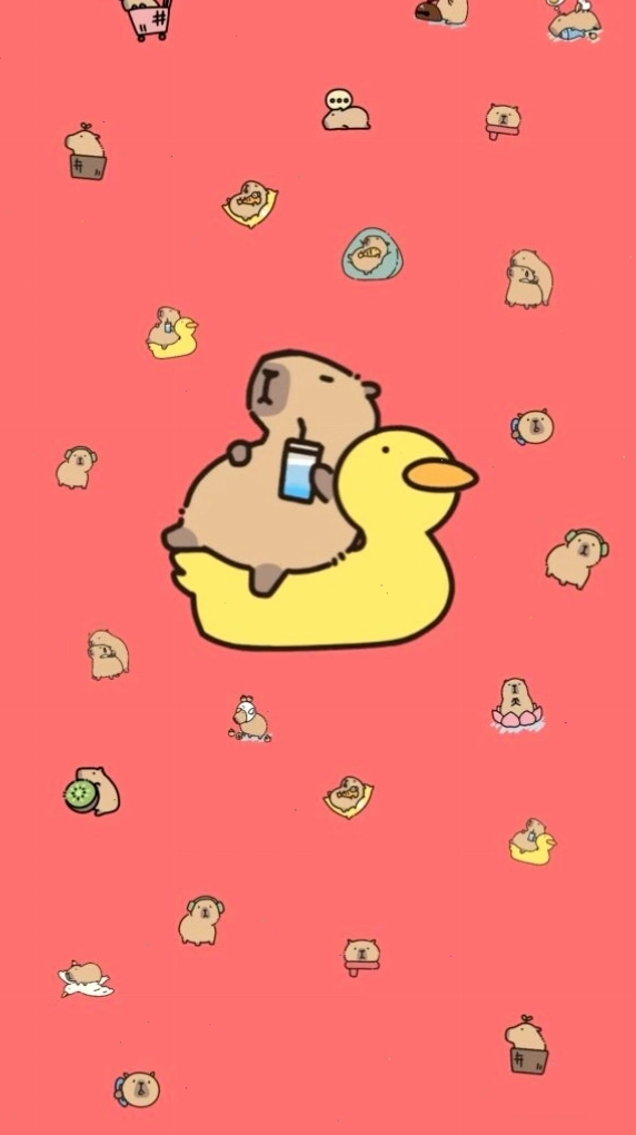 Capybara thư giãn trên phao vịt