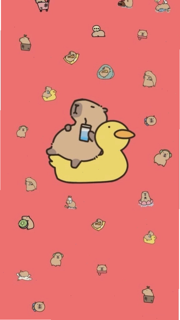 Capybara thư giãn trên phao vịt