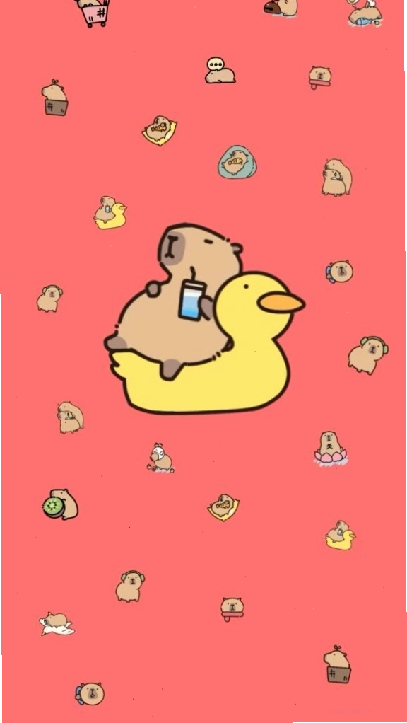 Capybara thư giãn trên phao vịt