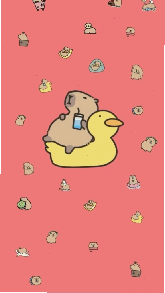 Capybara thư giãn trên phao vịt