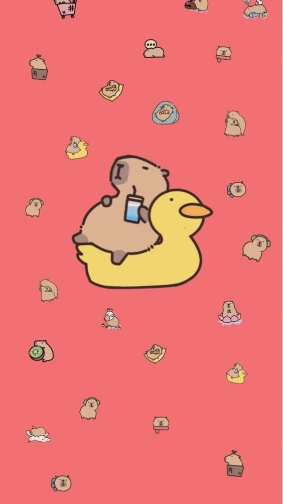 Capybara thư giãn trên phao vịt