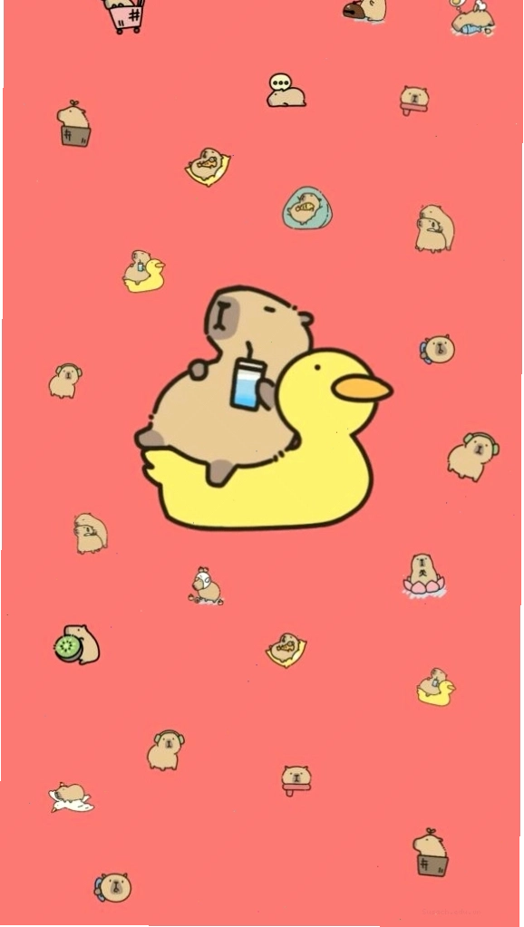 Capybara thư giãn trên phao vịt