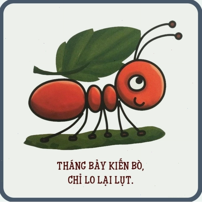 Chuồn chuồn bay thấp dự báo mưa