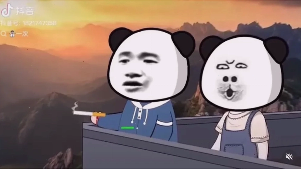 Cười ngất với 130 Meme Gấu Trúc Weibo bựa lầy lội, dễ thương và hài hước