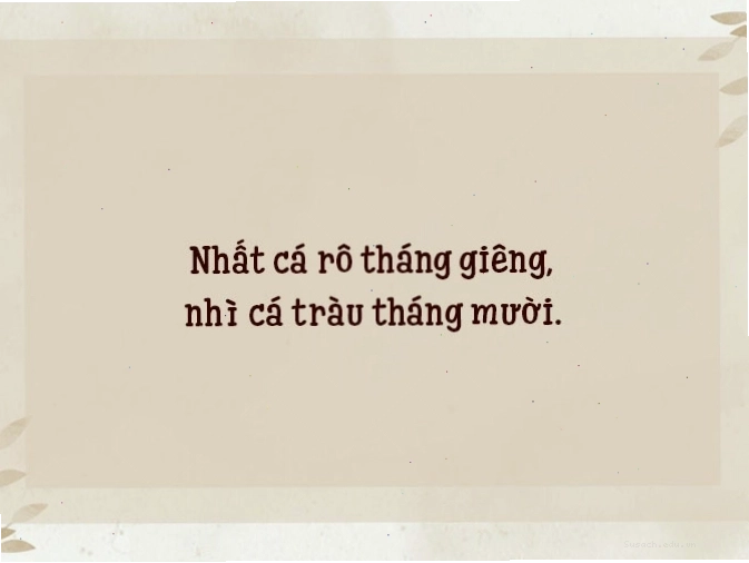 Đặc sản vùng miền