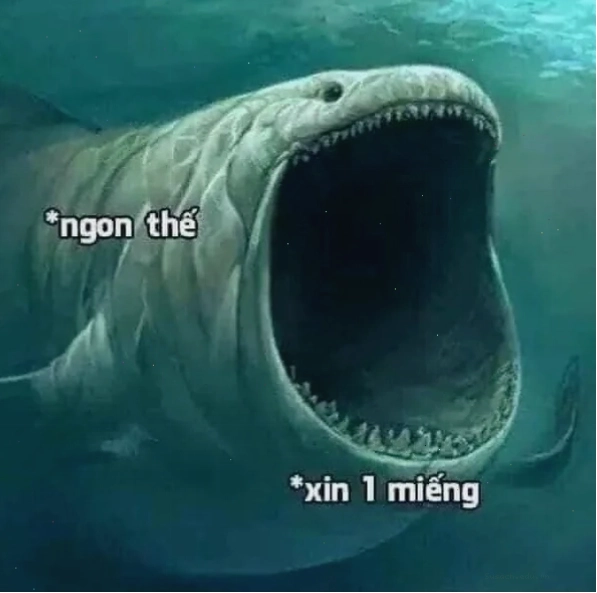 Gương mặt bất ngờ trong meme há mồm khiến mọi người bật cười
