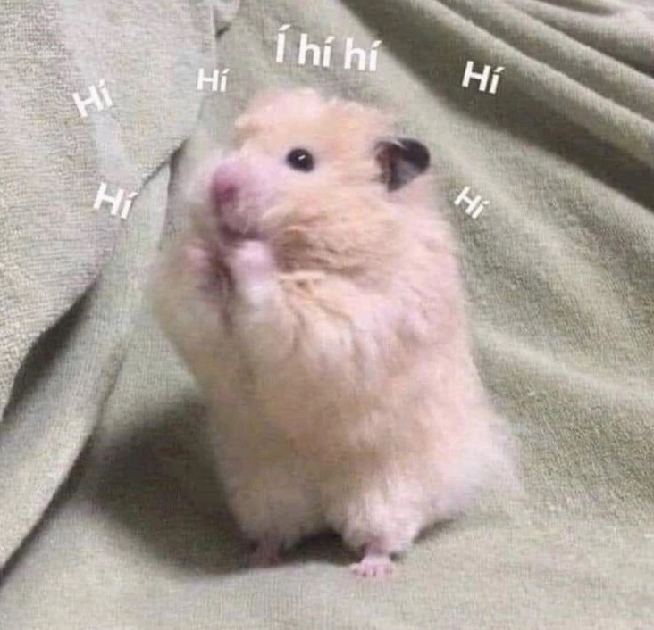 Hamster Meme Biểu Cảm Lầy Lội Đốn Tim Cộng Đồng Mạng 2026