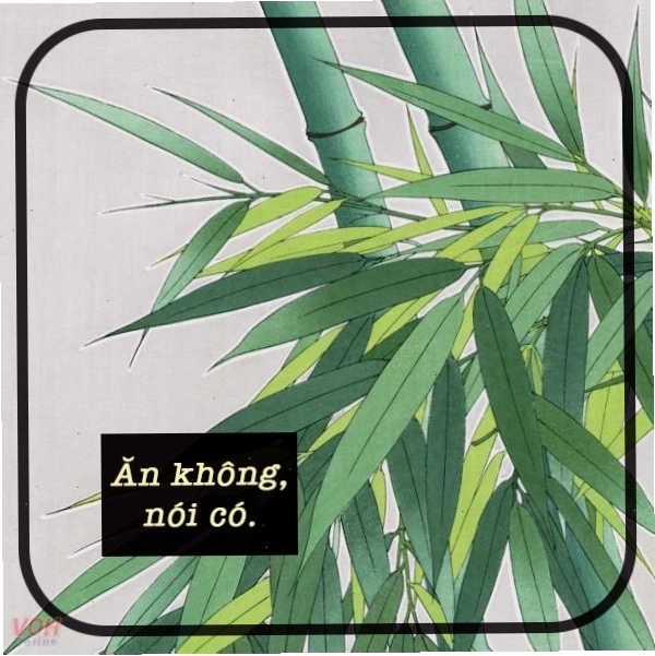 Hình ảnh ao nước làng quê, ý nghĩa câu ca dao ta về ta tắm ao ta