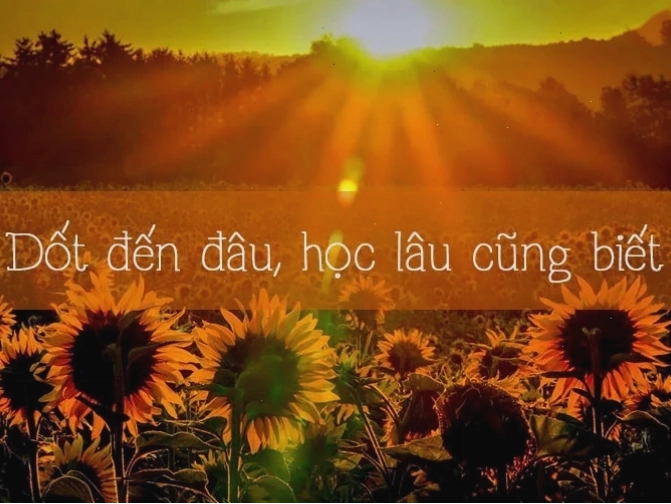 Hình ảnh bó hoa tặng thầy cô
